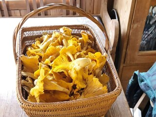 Holiday house Welt  19