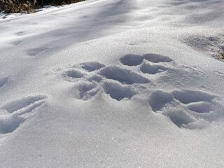 Holiday house Welt  27