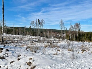 Holiday house Welt  20