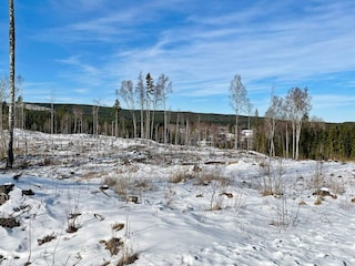 Vakantiehuis Welt  20