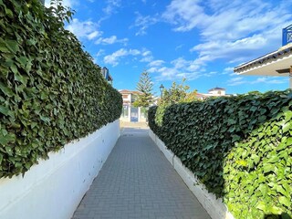 Appartement Vera Playa Omgeving 31
