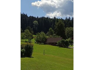 Vakantieappartement Hörbranz Buitenaudio-opname 10