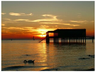 Appartamento per vacanze Hörbranz Ambiente 30