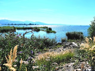 Appartamento per vacanze Hörbranz Ambiente 31