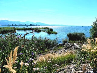 Vakantieappartement Hörbranz Omgeving 31