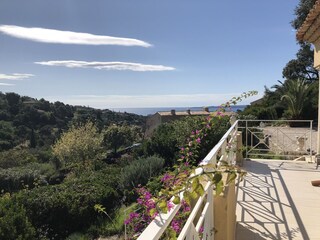 Seitliche Terrasse