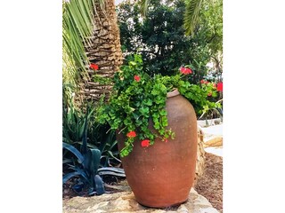 Villa Calpe Registrazione all'aperto 11