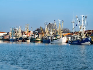 Am Hafen