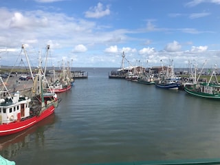 Holiday apartment Dornumersiel Environment 23