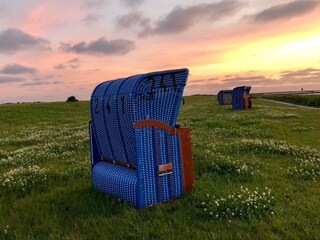 Holiday apartment Dornumersiel Environment 22