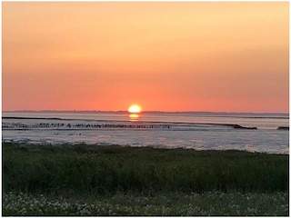 Holiday apartment Dornumersiel Environment 21