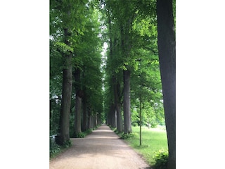 Schlosspark Eutin