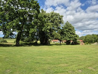 Gartenbilder