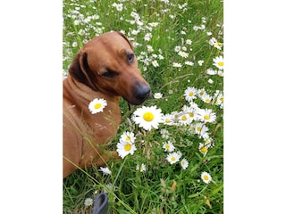 Unsere Gartenmitarbeiter