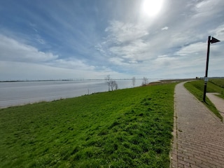 Blick vom Deich auf die Eider