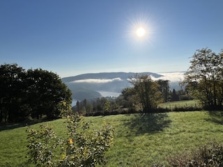 Blick auf den Rursee