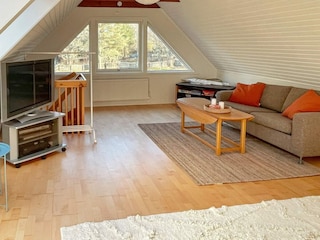 Ferienhaus Ellös  17