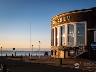 Appartamento per vacanze Hooksiel  40