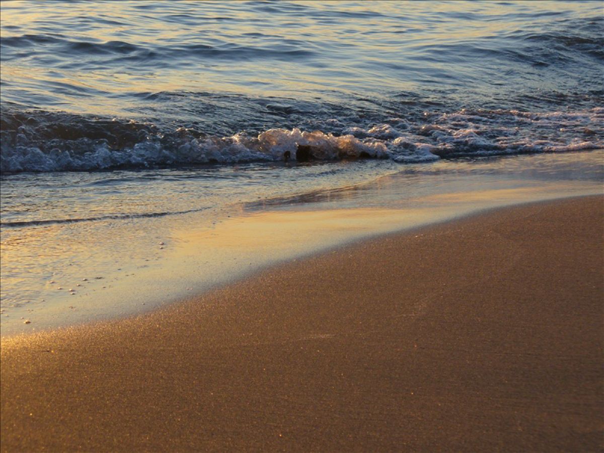 Ferienhaus Casa Lisa, Forte dei Marmi, Frau Cosima
