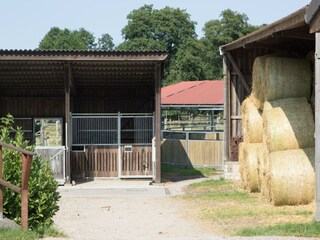 Vakantiehuis Eschede  36