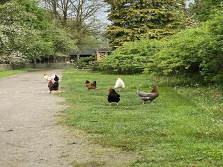 Casa per le vacanze Eschede Registrazione all'aperto 3