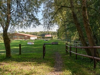 Vakantiehuis Eschede Buitenaudio-opname 4