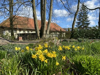 Casa per le vacanze Eschede  35