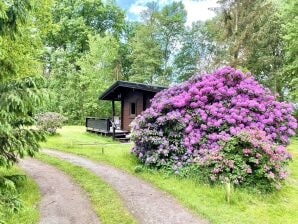 Gezellig vakantiehuis op een paardenboerderij op de Lüneburger Heide - Eschede - image1