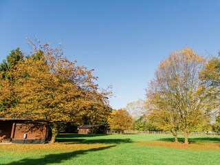 Ferienhaus Eschede Außenaufnahme 4