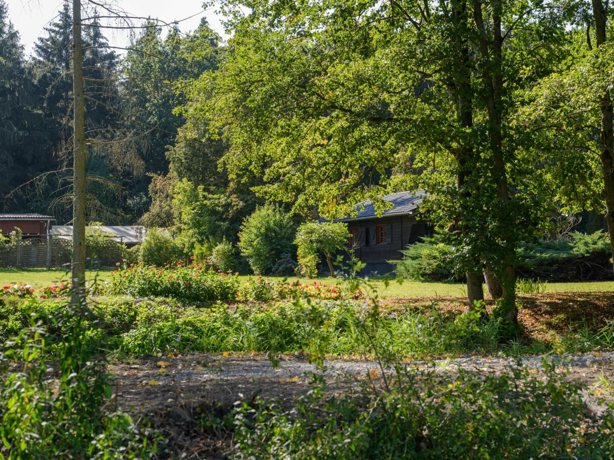 Maison de vacances Eschede Environnement 1