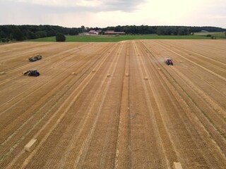 Holiday house Eschede Environment 30