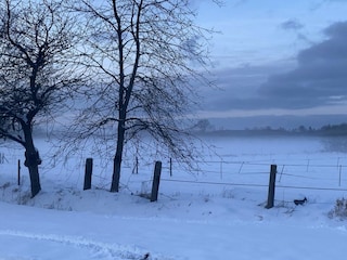 Maison de vacances Eschede Environnement 21