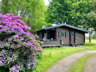Holiday house Eschede Outdoor Recording 1