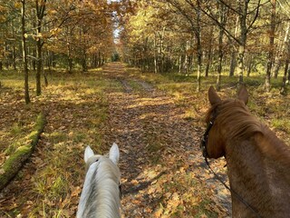 Maison de vacances Eschede Environnement 28