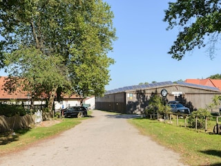 Ferienhaus Eschede Umgebung 20