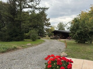 Vakantiehuis Eschede Buitenaudio-opname 10