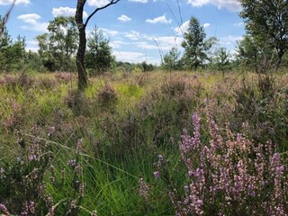Parc de vacances Bad Bentheim Environnement 11