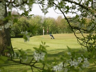 Vakantiepark Bad Bentheim Omgeving 22