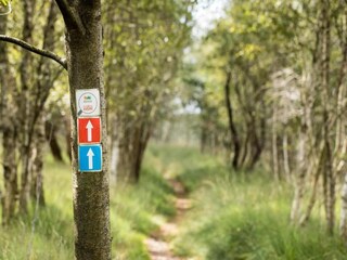 Parc de vacances Bad Bentheim Environnement 29