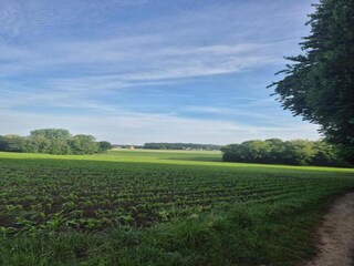 Parc de vacances Bad Bentheim Environnement 10