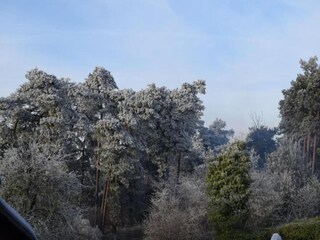 Parc de vacances Bad Bentheim Environnement 17