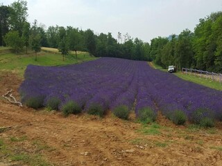 Holiday house Momperone Environment 31