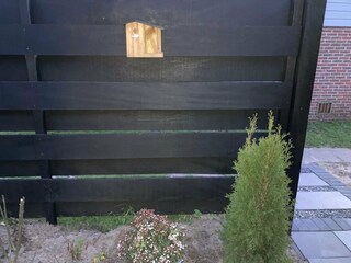 Vakantiehuis Holland Buitenaudio-opname 3