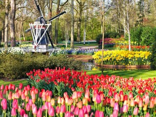 Ferienhaus Holland Umgebung 26