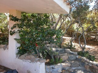 Villa Maracalagonis Registrazione all'aperto 5