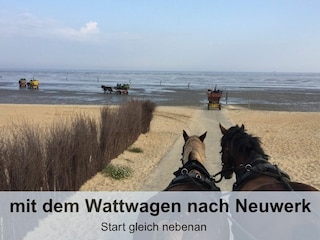 Ferienwohnung Döse  20