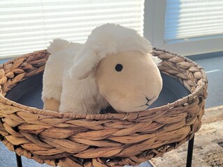 Ferienwohnung Duhnen  29