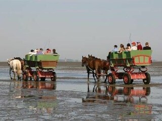 Ferienwohnung Duhnen Umgebung 8