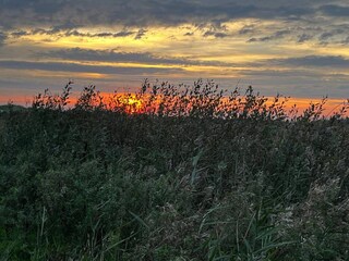 Maison de vacances Ebeltoft  36