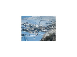 Vakantiehuis Willingen Omgeving 34